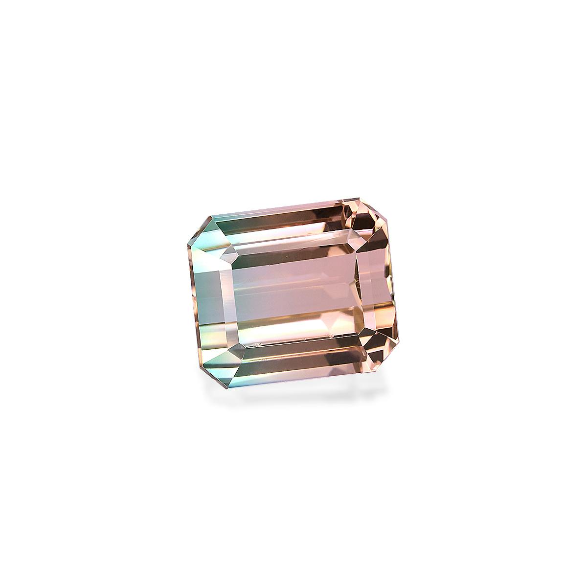 Bi Colour Tourmaline 26.04 ct